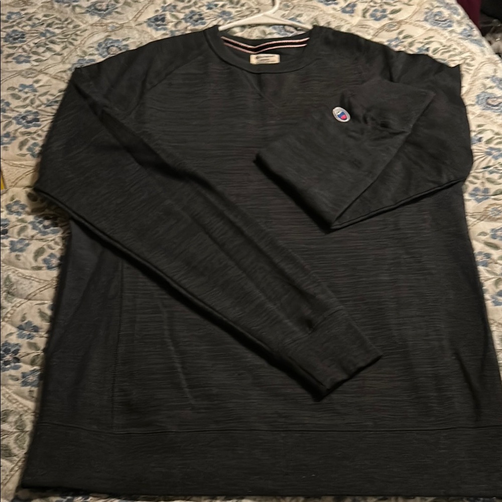 Champion Gray Sweatshirt with Logo